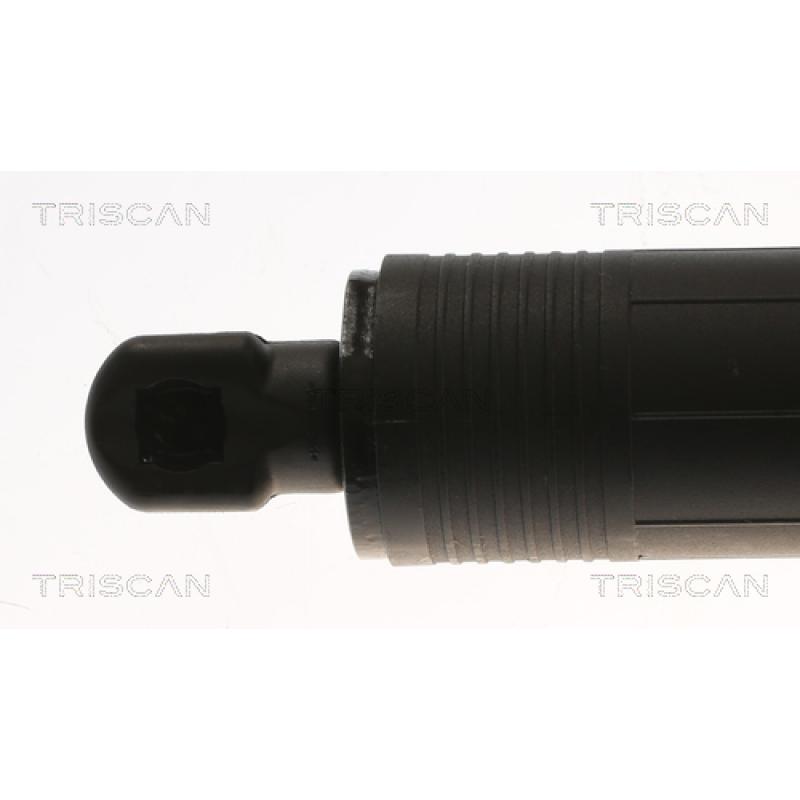 Vérin de hayon, de coffre TRISCAN 8710 17302 - Visuel 1
