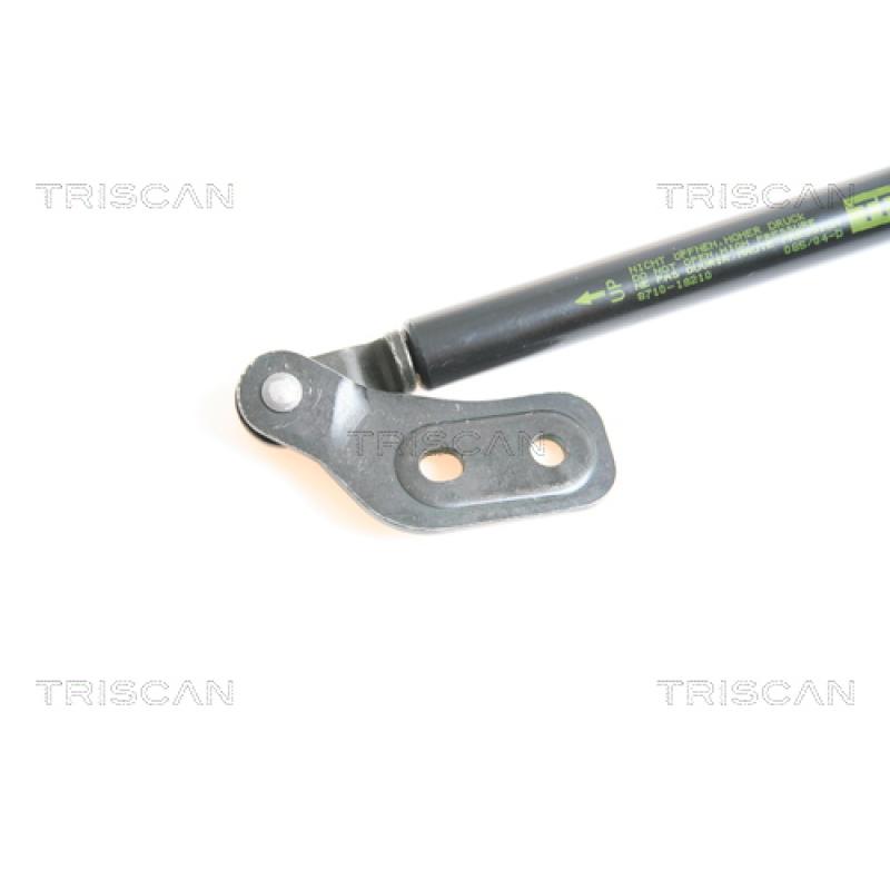 Vérin de hayon, de coffre TRISCAN 8710 18210 - Visuel 1