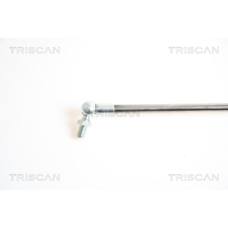 Vérin de hayon, de coffre TRISCAN 8710 18210 - Visuel 2
