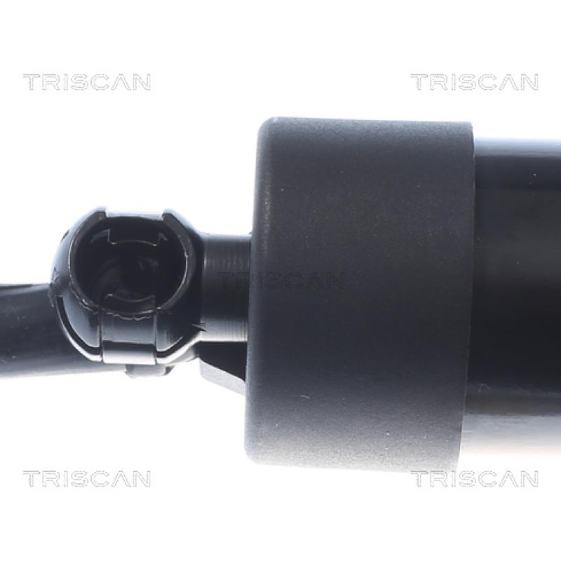 Vérin de hayon, de coffre TRISCAN 8710 20303 - Visuel 1