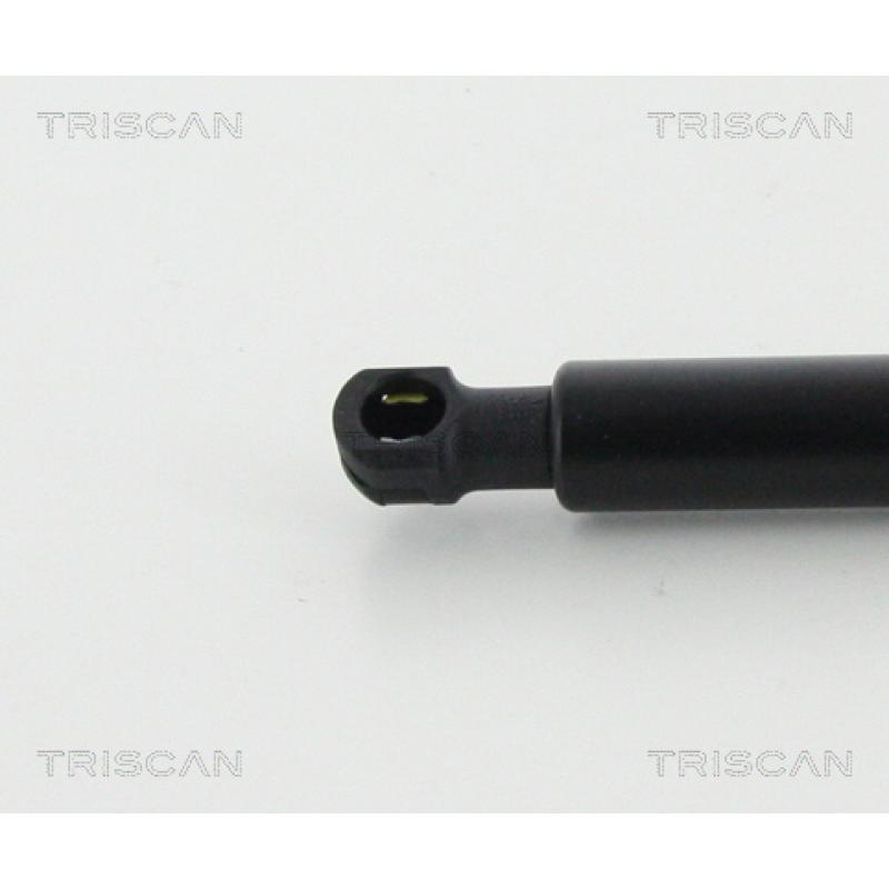Vérin, capot-moteur TRISCAN 8710 24109 - Visuel 2