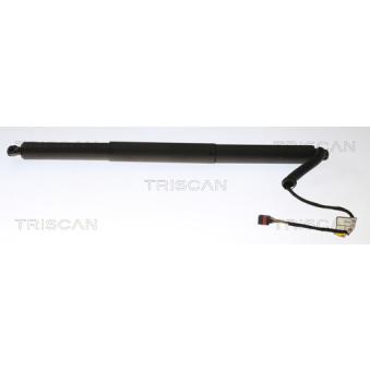 Vérin de hayon, de coffre TRISCAN OEM 3G9827851A