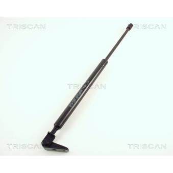 Vérin de hayon, de coffre TRISCAN [8710 50210]