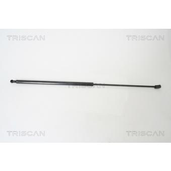 Vérin, capot-moteur TRISCAN [8710 65104]