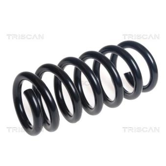 Ressort de suspension TRISCAN [8750 16134]