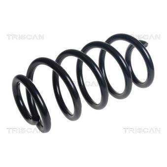 Ressort de suspension TRISCAN [8750 16159]