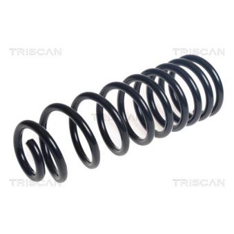 Ressort de suspension TRISCAN [8750 16163]