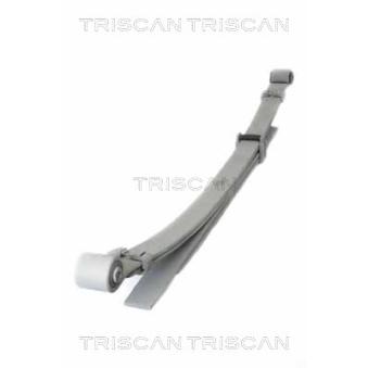 Groupe de ressorts TRISCAN [8765 14015]