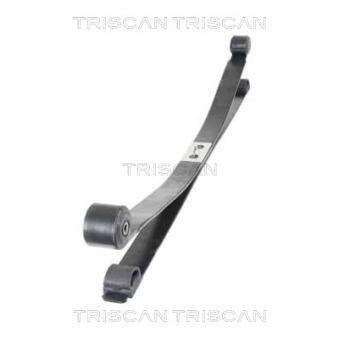 Groupe de ressorts TRISCAN [8765 16053]