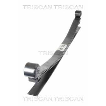 Groupe de ressorts TRISCAN [8765 16054]