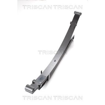 Groupe de ressorts TRISCAN [8765 42006]