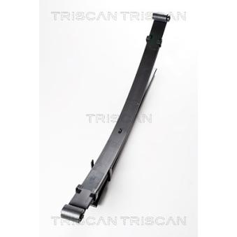 Groupe de ressorts TRISCAN [8765 42008]