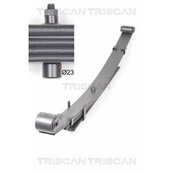Groupe de ressorts TRISCAN [8765 43003]