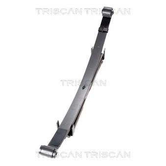 Groupe de ressorts TRISCAN [8765 69002]