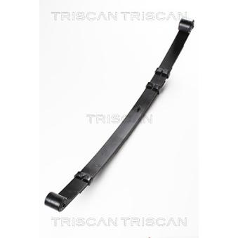 Groupe de ressorts TRISCAN [8765 80006]