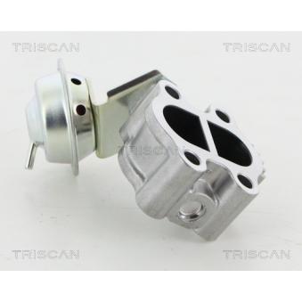 Vanne EGR TRISCAN [8813 13060]