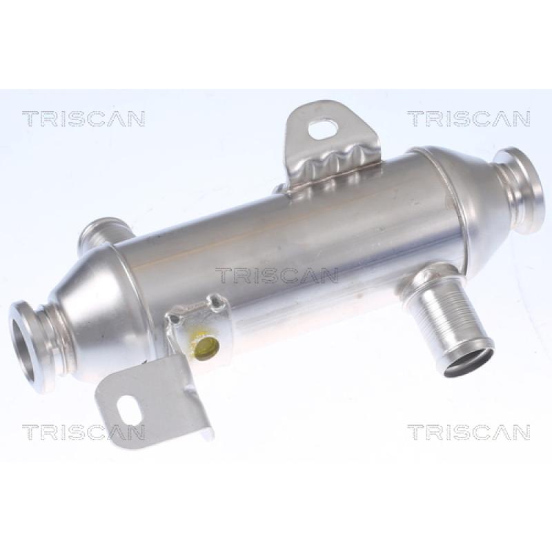 Radiateur, réaspiration des gaz d'échappement TRISCAN 8813 28102 - Visuel 2