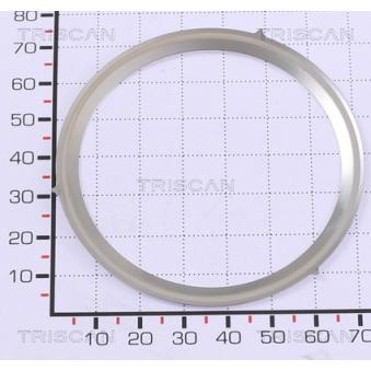 Joint TRISCAN [8813 99168]