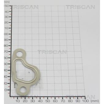 Joint TRISCAN [8813 9966]
