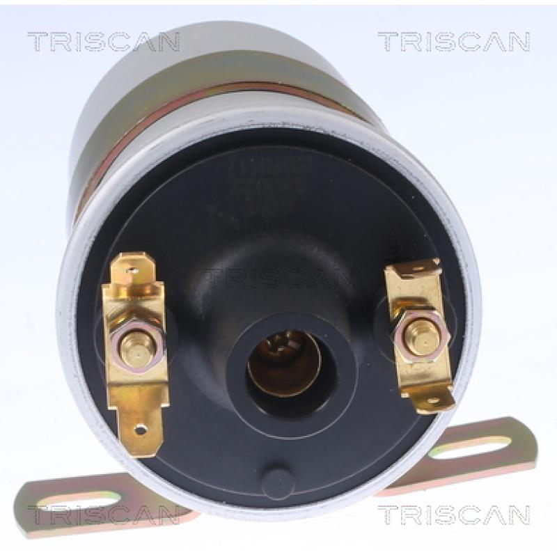 Bobine d'allumage TRISCAN 8860 10038 - Visuel 1