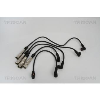 Kit de câbles d'allumage TRISCAN [8860 29011]
