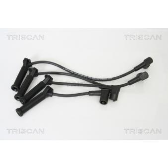 Kit de câbles d'allumage TRISCAN [8860 7419]