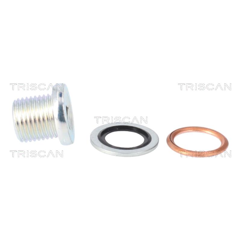 Vis-bouchon, carter d'huile TRISCAN 9500 1003 - Visuel 2