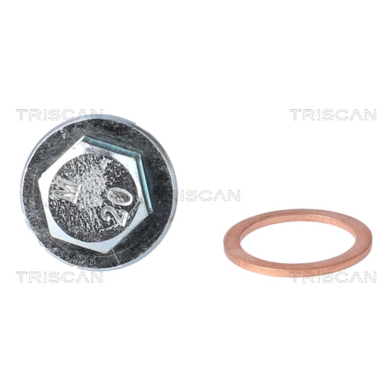 Vis-bouchon, carter d'huile TRISCAN 9500 1022 - Visuel 1