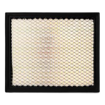 Filtre à air FLEETGUARD OEM 53007386