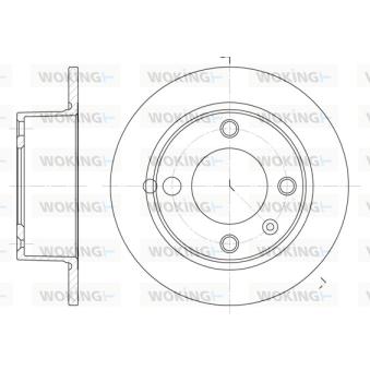 Jeu de 2 disques de frein arrière WOKING OEM 95667811