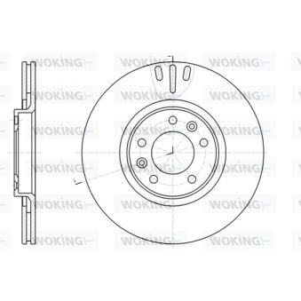 Jeu de 2 disques de frein arrière WOKING OEM 424911 Jeu de 2 disques de frein arrière WOKING OEM 424911