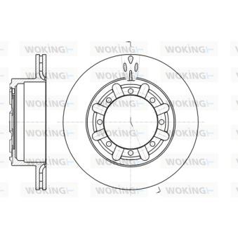 Jeu de 2 disques de frein arrière WOKING OEM 5001864712