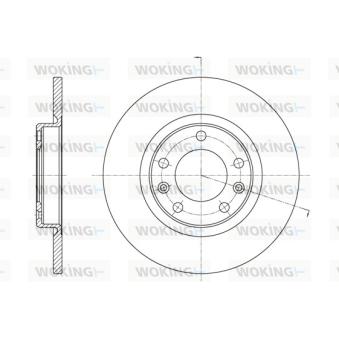 Jeu de 2 disques de frein arrière WOKING OEM 1609582880 Jeu de 2 disques de frein arrière WOKING OEM 1609582880