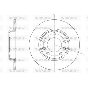 Jeu de 2 disques de frein arrière WOKING OEM 1610761980