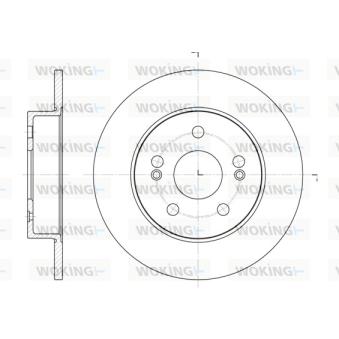 Jeu de 2 disques de frein arrière WOKING OEM 7701201295