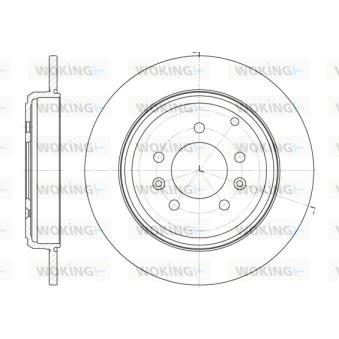 Jeu de 2 disques de frein arrière WOKING OEM 4246N1