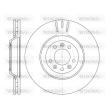 WOKING D6691.10 - Jeu de 2 disques de frein avant