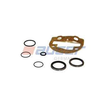 Kit de réparation, ajustage automatique AUGER OEM 272905 Kit de réparation, ajustage automatique AUGER OEM 272905