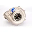 BorgWarner 5329 988 7131 - Turbocompresseur, suralimentation