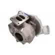 BorgWarner 5331 988 6911 - Turbocompresseur, suralimentation