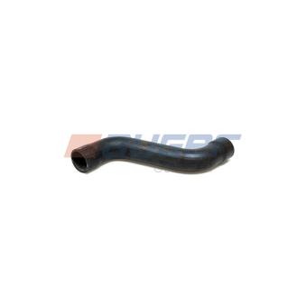 Durite de radiateur AUGER OEM 1376291