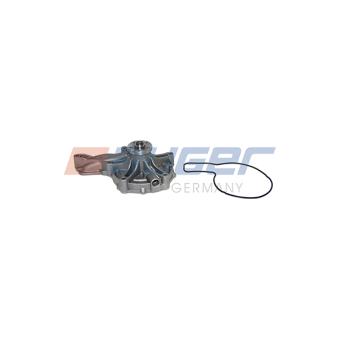 Pompe à eau AUGER OEM 20538845
