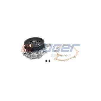 Pompe à eau AUGER OEM 570951