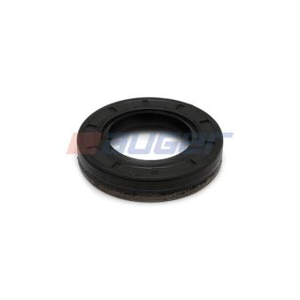 Bague d'étanchéité système SPI, pompe d'injection AUGER OEM 424580