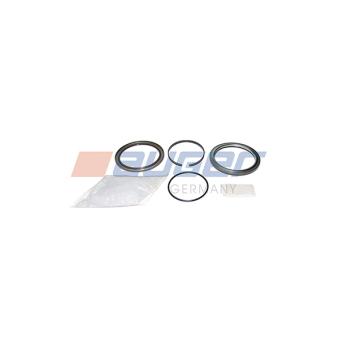 Kit de réparation, moyeu de roue AUGER OEM 3434302500