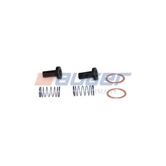 Kit d'assemblage, pompe à carburant AUGER [71533]