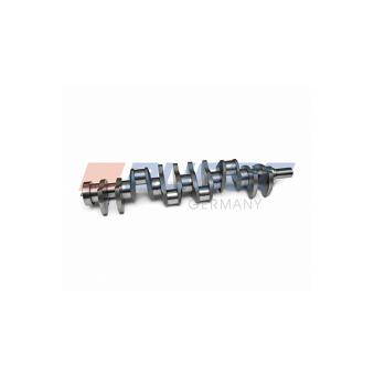Vilebrequin AUGER [71910]