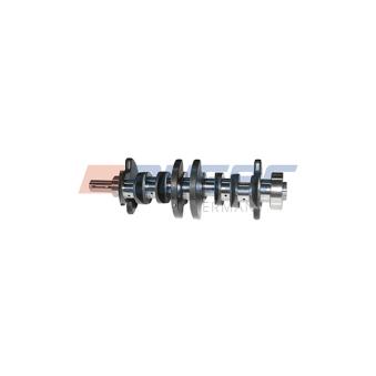 Vilebrequin AUGER OEM 6110310201
