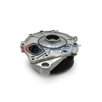 Pompe à eau AUGER OEM 2224112