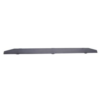 Grille de radiateur PACOL OEM 1890176